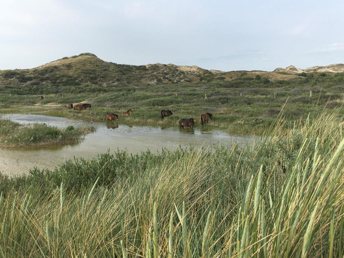 De Duinlopers - Studio Appt Bries - Strand, Duinen En Nabij Cultuur Steden Castricum Zewnętrze zdjęcie