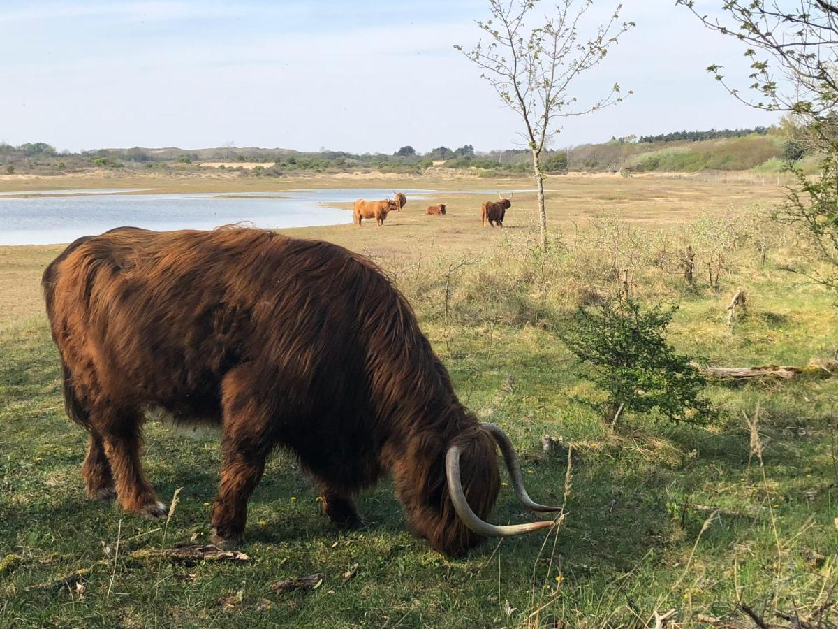 De Duinlopers - Studio Appt Bries - Strand, Duinen En Nabij Cultuur Steden Castricum Zewnętrze zdjęcie
